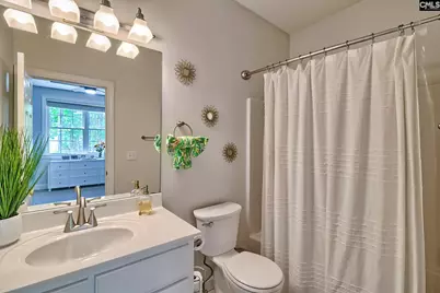 1207 Silver Point Road, Chapin, SC 29036 - Photo 57