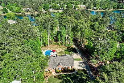 1207 Silver Point Road, Chapin, SC 29036 - Photo 19