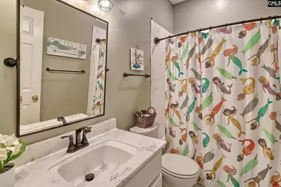 1207 Silver Point Road, Chapin, SC 29036 - Photo 39