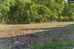 123 Mill Creek Pkwy, Columbia, SC 29209 - Photo 47