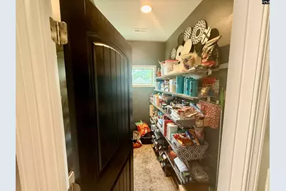 161 Graceland Court, Swansea, SC 29160 - Photo 11