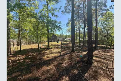 161 Graceland Court, Swansea, SC 29160 - Photo 5