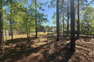 161 Graceland Ct, Swansea, SC 29160 - Photo 5