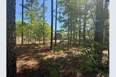 161 Graceland Court, Swansea, SC 29160 - Photo 19
