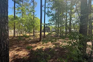 161 Graceland Ct, Swansea, SC 29160 - Photo 19