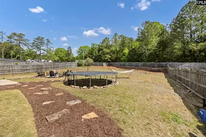 320 Eagle Pointe Drive, Chapin, SC 29036 - Photo 43