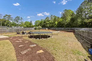 320 Eagle Pointe Dr, Chapin, SC 29036 - Photo 43