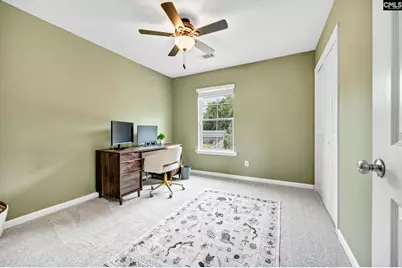 320 Eagle Pointe Drive, Chapin, SC 29036 - Photo 29