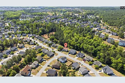 213 Tea Olive Avenue, Lexington, SC 29073 - Photo 7