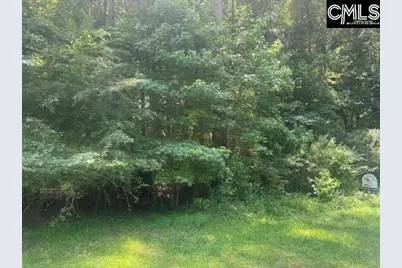 0 South Circle Drive, Orangeburg, SC 29118 - Photo 1