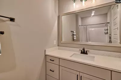 220 Jake Meetze Road, Chapin, SC 29036 - Photo 19