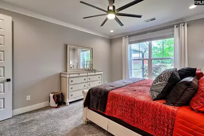 220 Jake Meetze Road, Chapin, SC 29036 - Photo 23