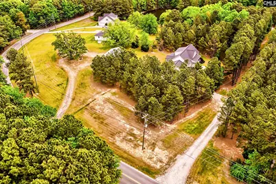220 Jake Meetze Road, Chapin, SC 29036 - Photo 43