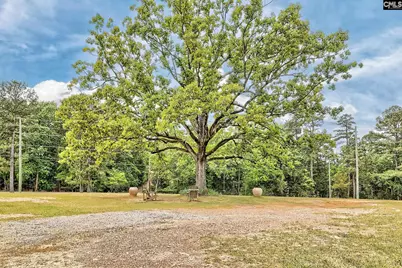 220 Jake Meetze Road, Chapin, SC 29036 - Photo 45