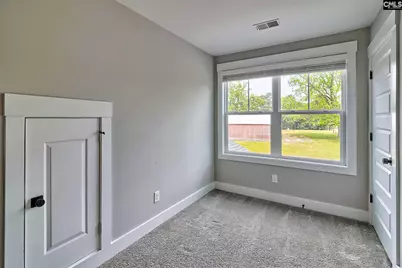 220 Jake Meetze Road, Chapin, SC 29036 - Photo 27