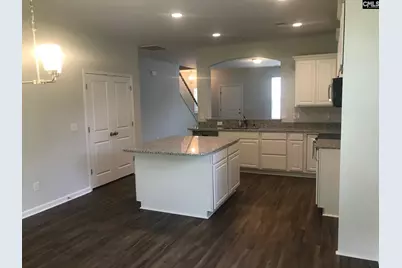 1355 Tamarind Lane, Chapin, SC 29036 - Photo 7