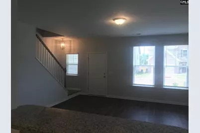 1355 Tamarind Lane, Chapin, SC 29036 - Photo 3