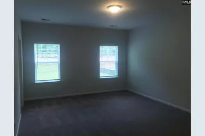 1355 Tamarind Lane, Chapin, SC 29036 - Photo 9