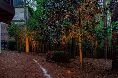 125 Scarlet Oak Way, Lexington, SC 29072 - Photo 87