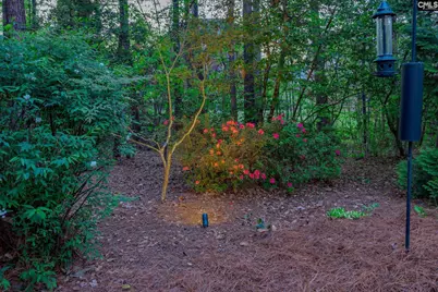 125 Scarlet Oak Way, Lexington, SC 29072 - Photo 81