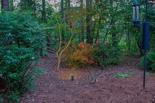 125 Scarlet Oak Way, Lexington, SC 29072 - Photo 81