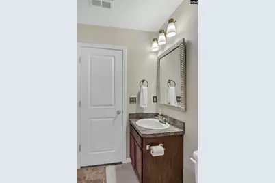 253 Chesterton Drive, Lexington, SC 29072 - Photo 19