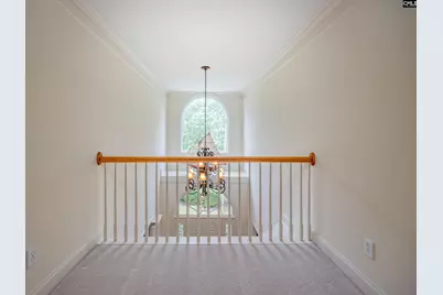 217 Longcreek Plantation Drive, Blythewood, SC 29016 - Photo 45