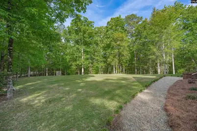 233 Mt Olivet Church Road, Chapin, SC 29036 - Photo 7