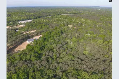 233 Mt Olivet Church Road, Chapin, SC 29036 - Photo 65