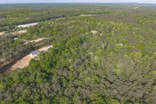 233 Mt Olivet Church Rd, Chapin, SC 29036 - Photo 65