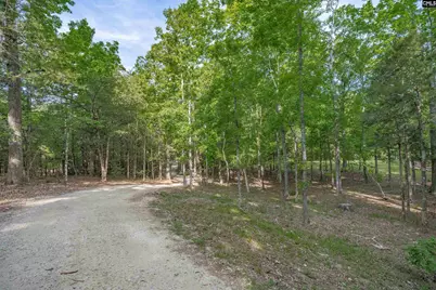 233 Mt Olivet Church Road, Chapin, SC 29036 - Photo 57