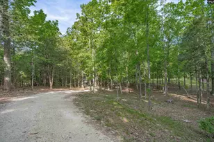 233 Mt Olivet Church Rd, Chapin, SC 29036 - Photo 57