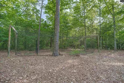 233 Mt Olivet Church Road, Chapin, SC 29036 - Photo 55