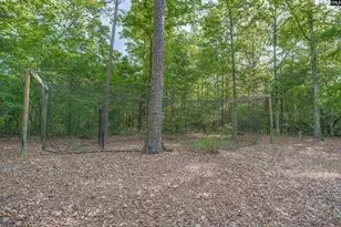 233 Mt Olivet Church Rd, Chapin, SC 29036 - Photo 55