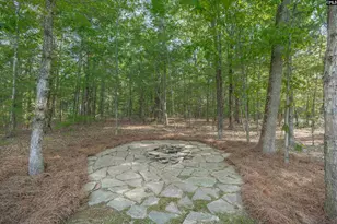 233 Mt Olivet Church Rd, Chapin, SC 29036 - Photo 51