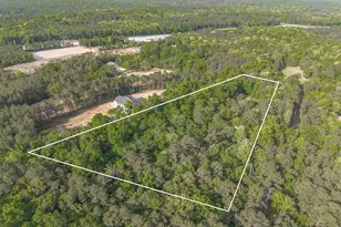 233 Mt Olivet Church Rd, Chapin, SC 29036 - Photo 61