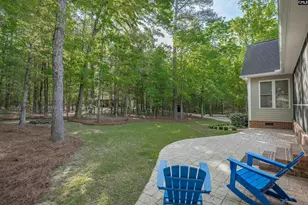 233 Mt Olivet Church Rd, Chapin, SC 29036 - Photo 49
