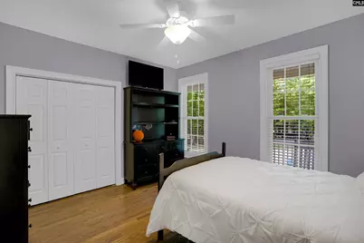 233 Mt Olivet Church Road, Chapin, SC 29036 - Photo 35