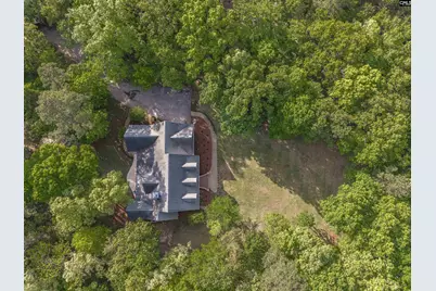 233 Mt Olivet Church Road, Chapin, SC 29036 - Photo 63