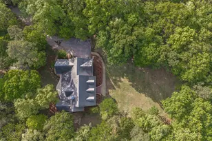 233 Mt Olivet Church Rd, Chapin, SC 29036 - Photo 63