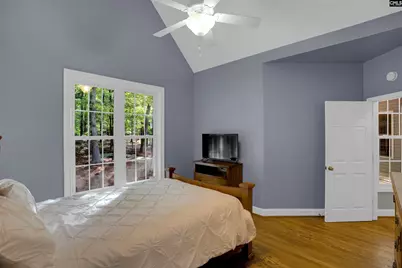 233 Mt Olivet Church Road, Chapin, SC 29036 - Photo 33