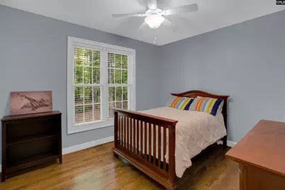 233 Mt Olivet Church Road, Chapin, SC 29036 - Photo 37