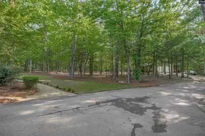 233 Mt Olivet Church Road, Chapin, SC 29036 - Photo 45