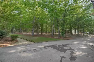 233 Mt Olivet Church Rd, Chapin, SC 29036 - Photo 45