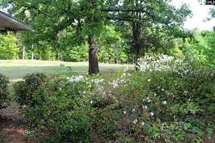 1208 Marina Rd, Irmo, SC 29063 - Photo 43