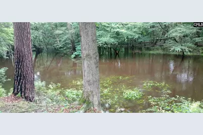 474 Shot's Trl Road, Branchville, SC 29432 - Photo 1