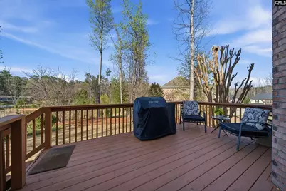 108 Dandelion Court, Lexington, SC 29072 - Photo 33