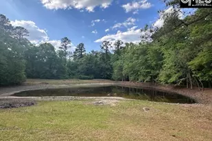 1426 W Creek Rd, Leesville, SC 29070 - Photo 7