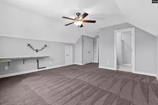 432 Sapphire Ln, Chapin, SC 29036 - Photo 29