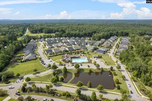 432 Sapphire Ln, Chapin, SC 29036 - Photo 49